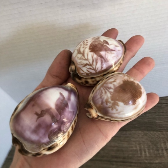 Vtg Hand Carved Cowrie Seashells with Intricate Designs - Picture 2 of 12